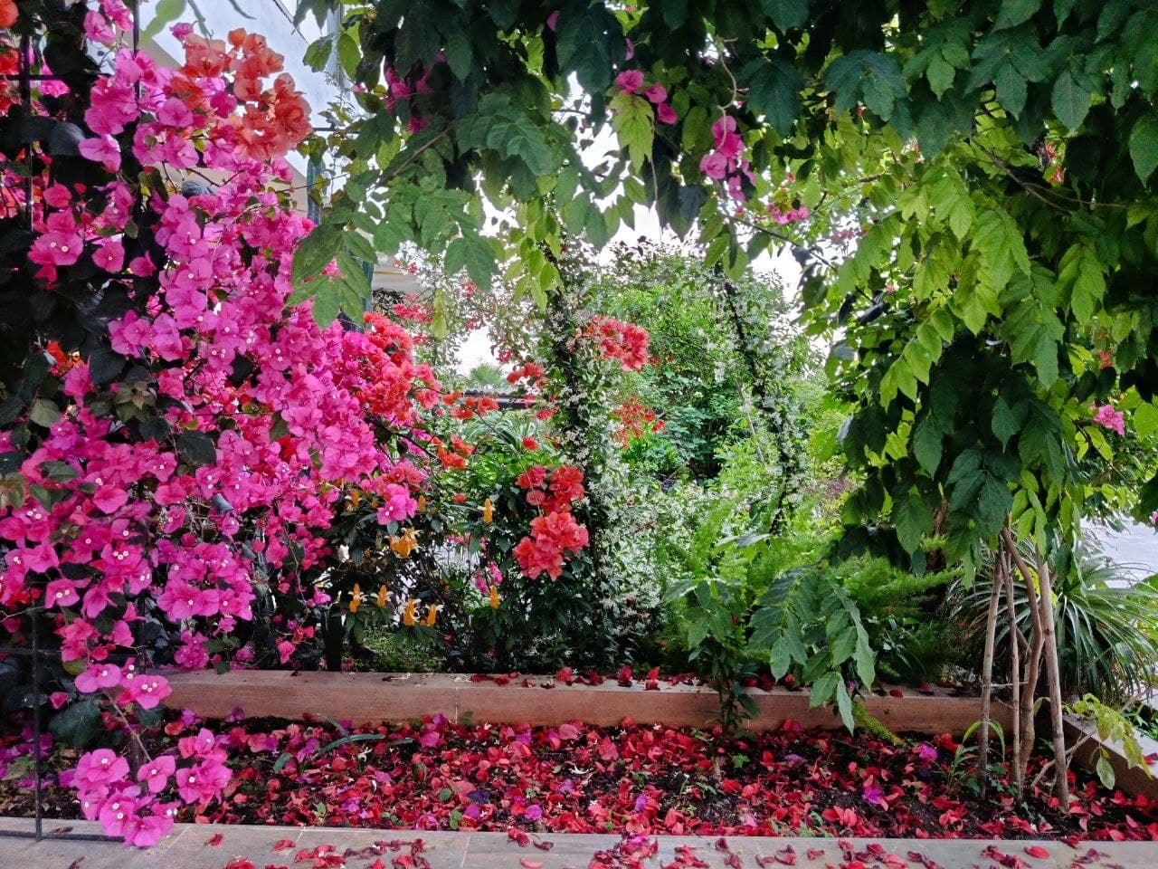 صورة من معرض سهره